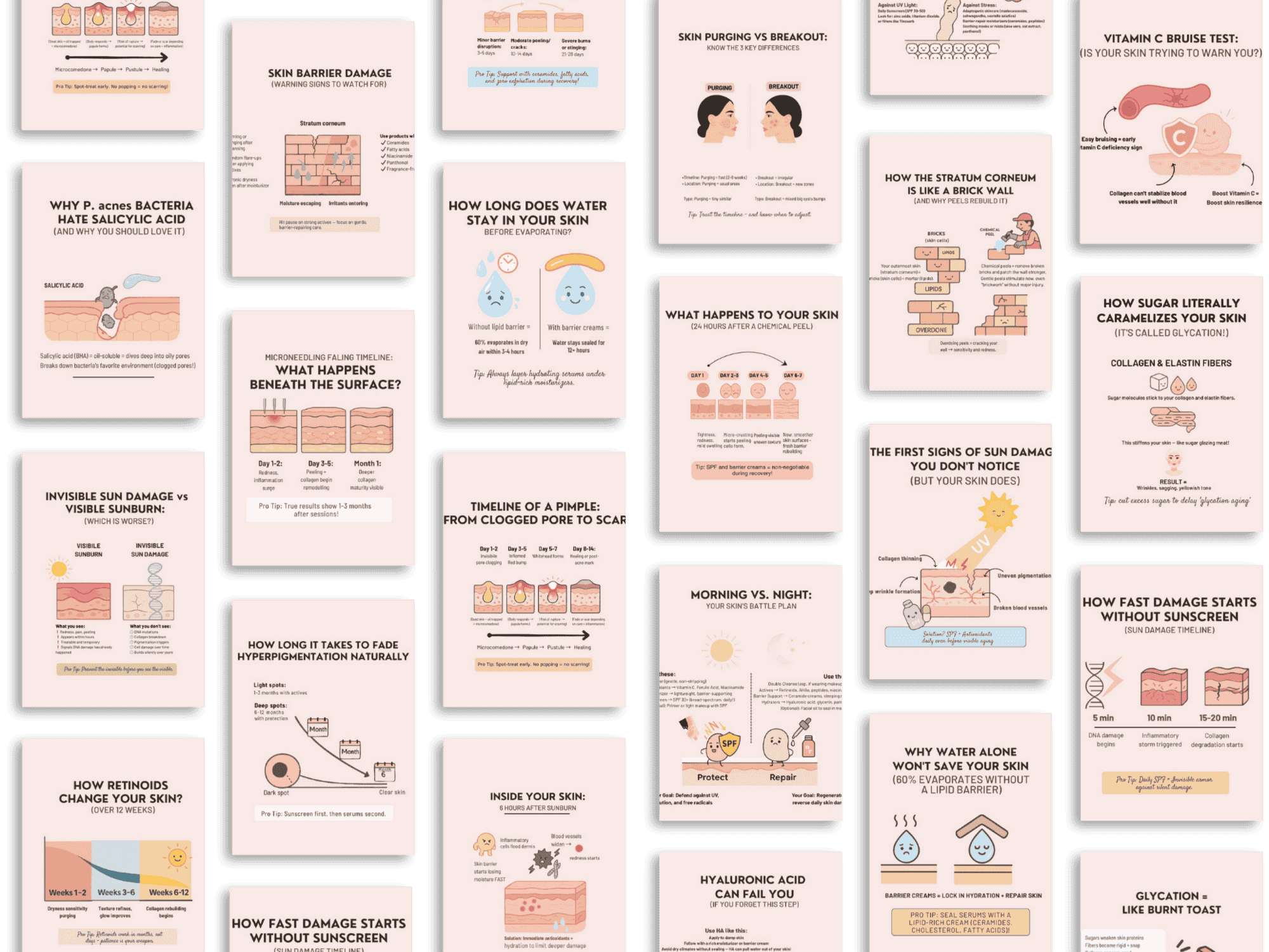 120+ Professional Skin Diagrams for Teaching, Marketing & Client Consultations